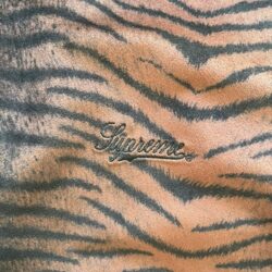 Supreme Tiger Print Jacket