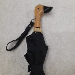 Wood Duck Umbrella