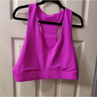 NWT Fabletics Medium Impact Pink Sports Bra Size 2X