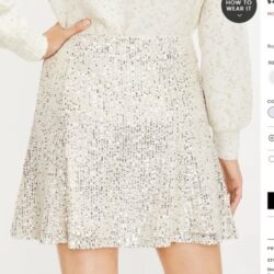 NWT Loft Sequin Skirt Size 12