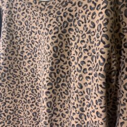 Abercrombie & Fitch Cheetah Sweatshirt