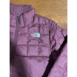 Mens The North Face Flare Down