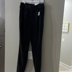 Express work 4L dress pants