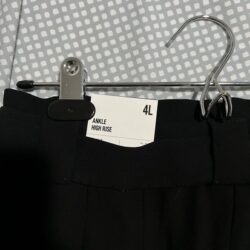 Express work 4L dress pants