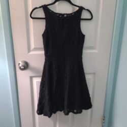 BB Dakota Black Overlay Lace Fit and Flare Dress Sz 0