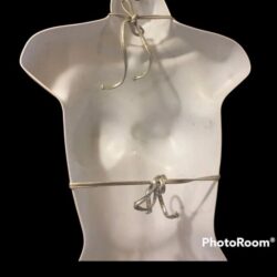 Aerie Swim Hi Rise Bottom & NWOT Silver Metallic Bikini top sz S