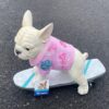 Frenchie dog on skateboard pink flower shirt Humane Society