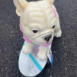 Frenchie dog on skateboard pink flower shirt Humane Society