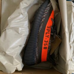 yeezys 350