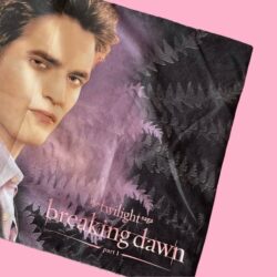 Twilight Edward Pillow Case