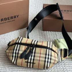 Burberry Waist Bags & Fan