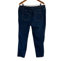 Woman Within Elastic Waistband Jeans Size 20W Petites Pull On Blue Casual Pants