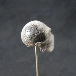 Vintage Skull Stick Pin Memento Mori Mourning