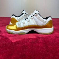 Air Jordan 11 Retro