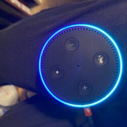 Amazon Echo and speaker