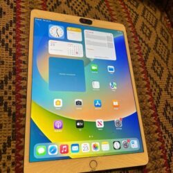 Apple iPad Pro 10.5 inch 256GB