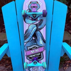 Primitive Skateboarding Robert