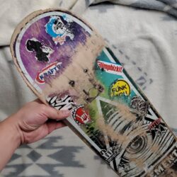 Skateboard Used Element 8 just