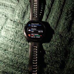 OnePlus Watch 2R, Garmin ForeR