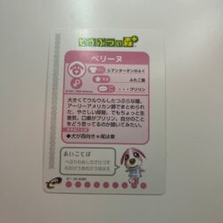 Animal Crossing ereader card!
