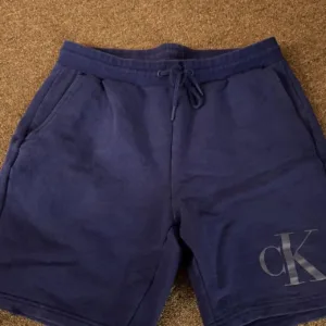 Calvin Klein Men's Navy and Blue Shorts
