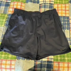 Nike Men's Navy and Blue Shorts