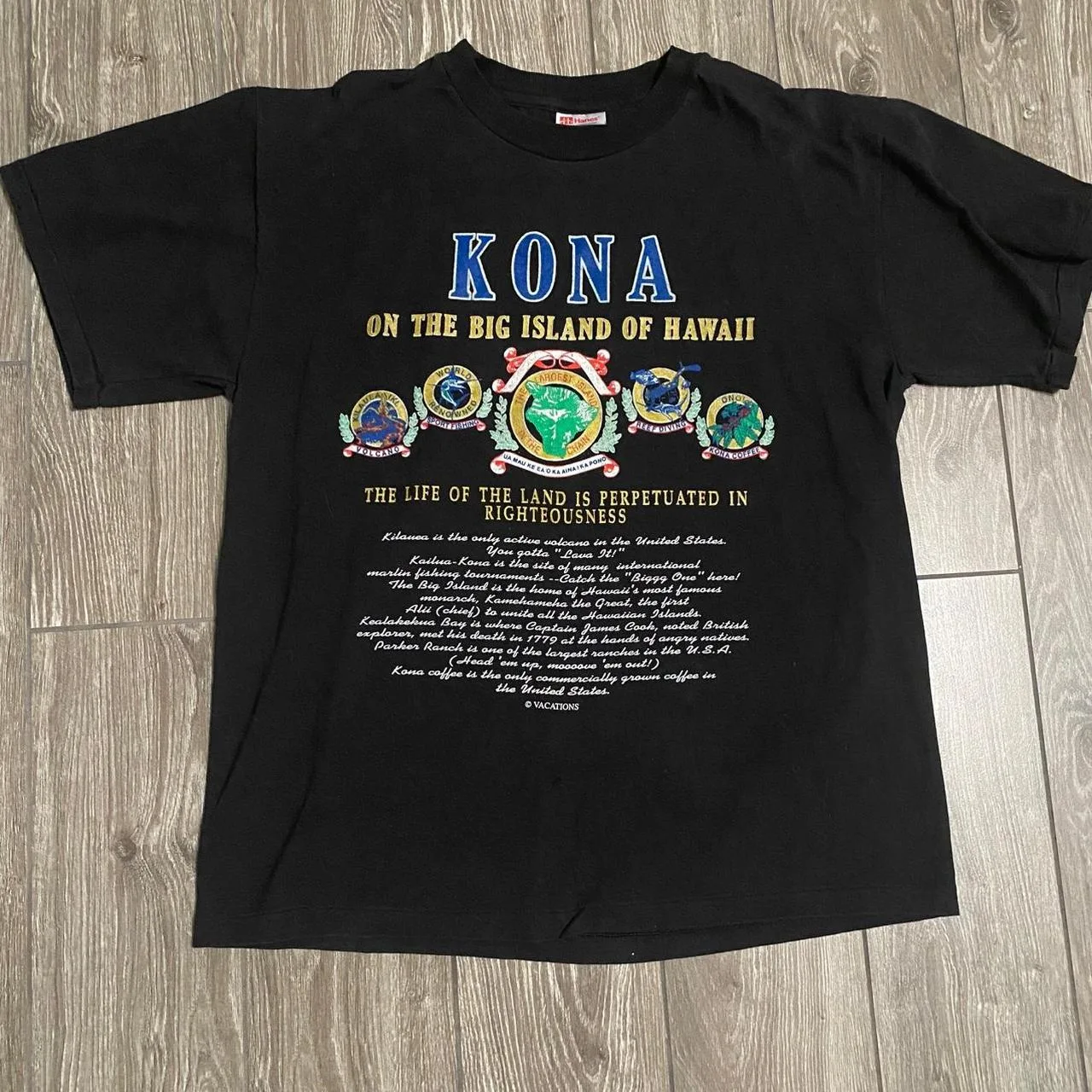 Fruit of the Loom Men's Black T-shirt