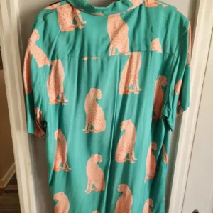 Men's Green and Blue Shirt