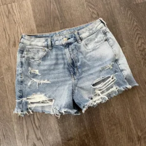 American Eagle Outfitters Women's Blue Shorts