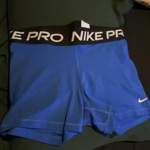 Nike Women's multi Shorts