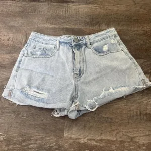 PacSun Women's Blue Shorts