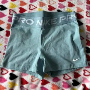 Nike Women's Blue Shorts